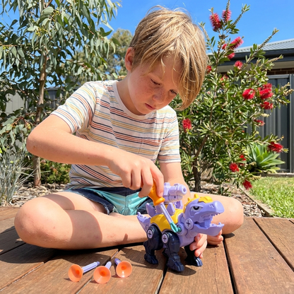 DIY Build & Transform Dinosaur Egg Toy