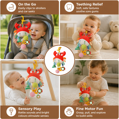 Crab Activity Toy with Pull Cord, Rattle & Teether for Babies