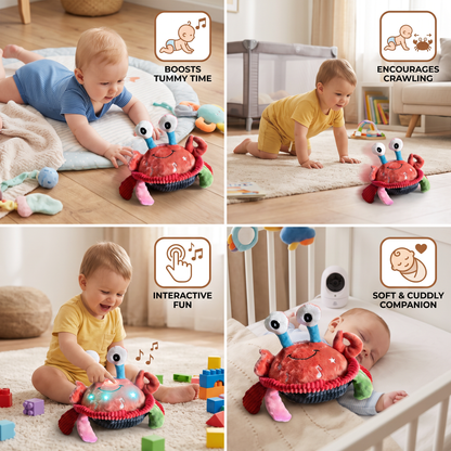 Interactive Musical Crab with Voice Function – Moving Educational Toy for Babies