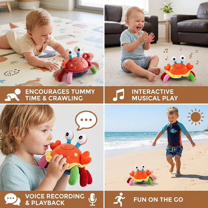 Interactive Musical Crab with Voice Function – Moving Educational Toy for Babies