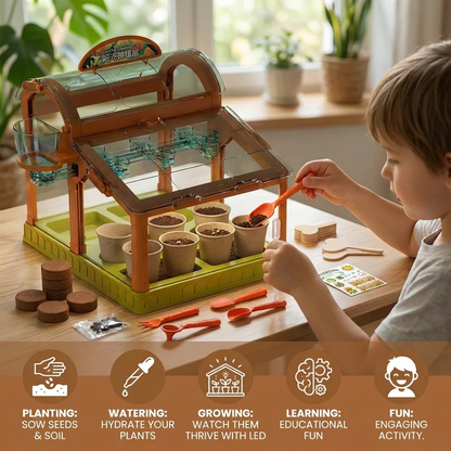 LED Acrylic Kids Greenhouse – Indoor Plant Growing Kit for Learning & Fun
