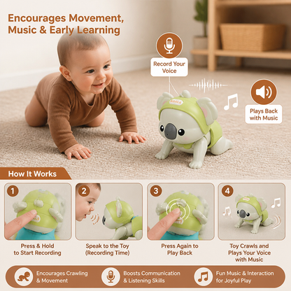 Interactive Crawling Baby Toy with Music & Voice Recording