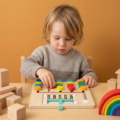 Wooden Four-Colour Logic Sorting Game – Montessori Learning & Thinking Toy for Kids