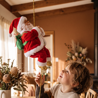 Climbing Santa Claus Toy