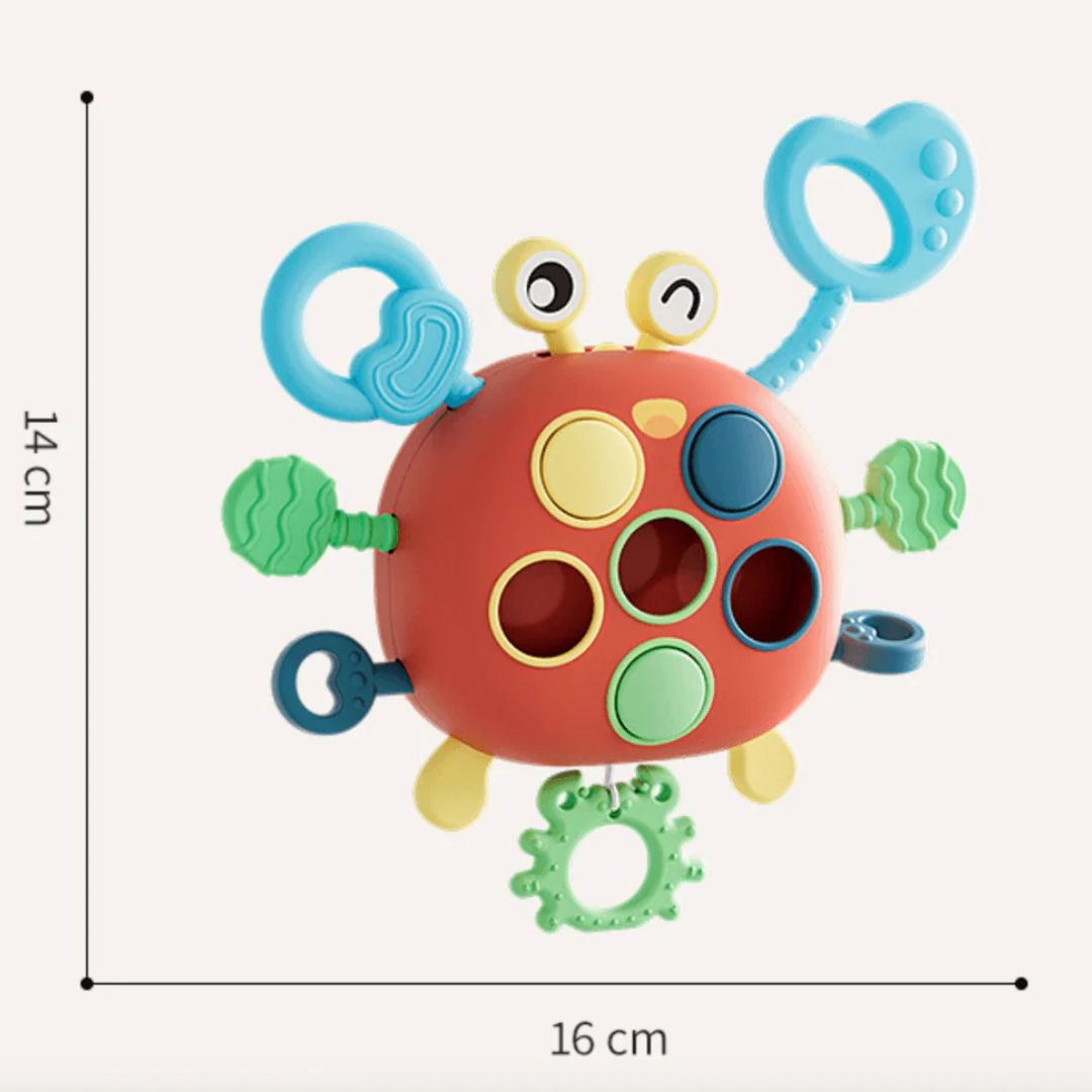 Sensory Development Toy for Kids