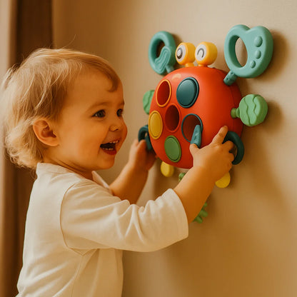 Sensory Development Toy for Kids