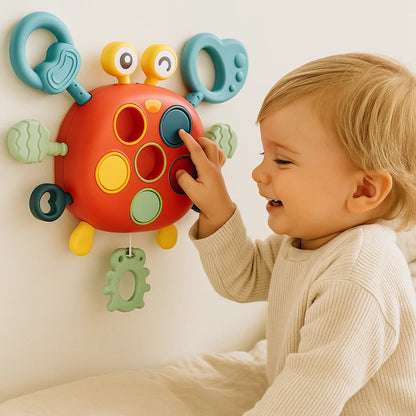 Sensory Development Toy for Kids