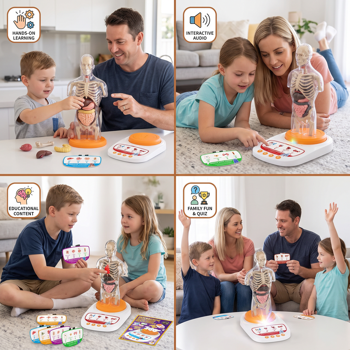 Interactive Talking Anatomical Model with Removable Organs & Audio-Guided Learning