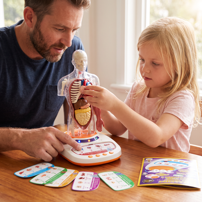 Interactive Talking Anatomical Model with Removable Organs & Audio-Guided Learning