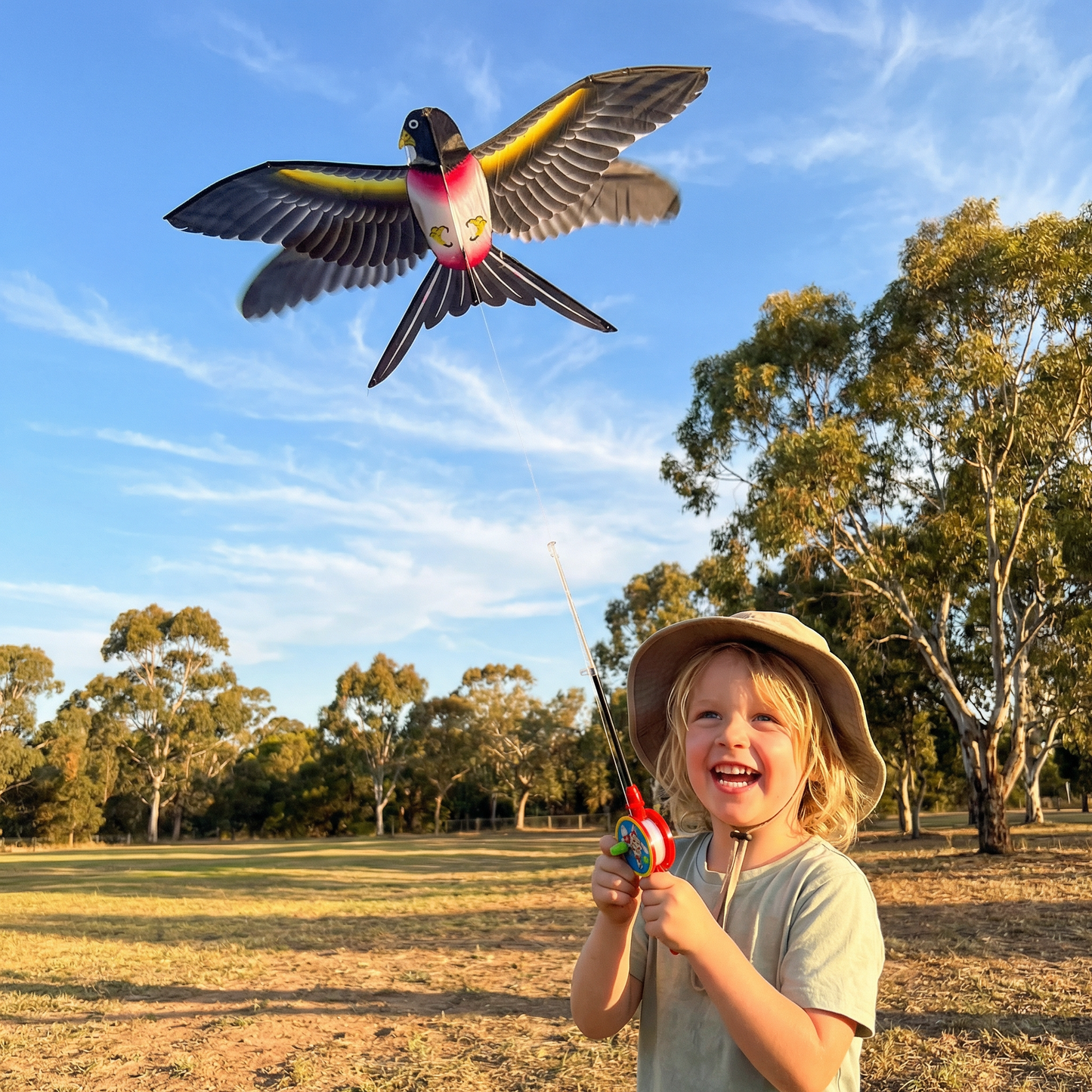 Flapping Wing Kite for Kids – Improves Coordination & Motor Skills