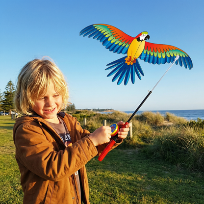 Flapping Wing Kite for Kids – Improves Coordination & Motor Skills