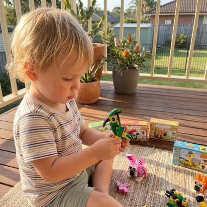 Animal Building Blocks Set