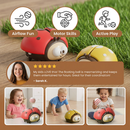 Ladybug Balloon Toy