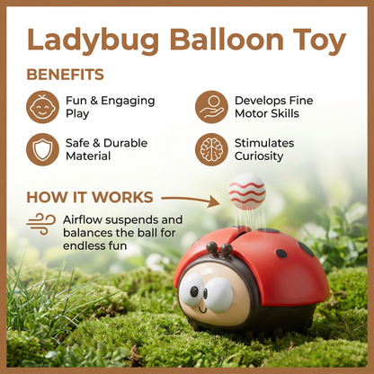 Ladybug Balloon Toy