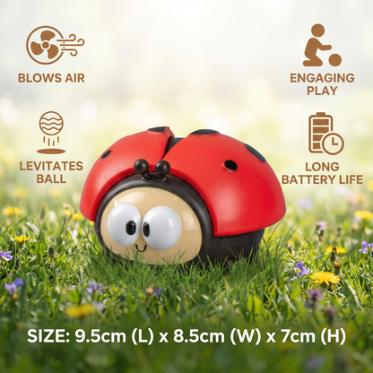 Ladybug Balloon Toy