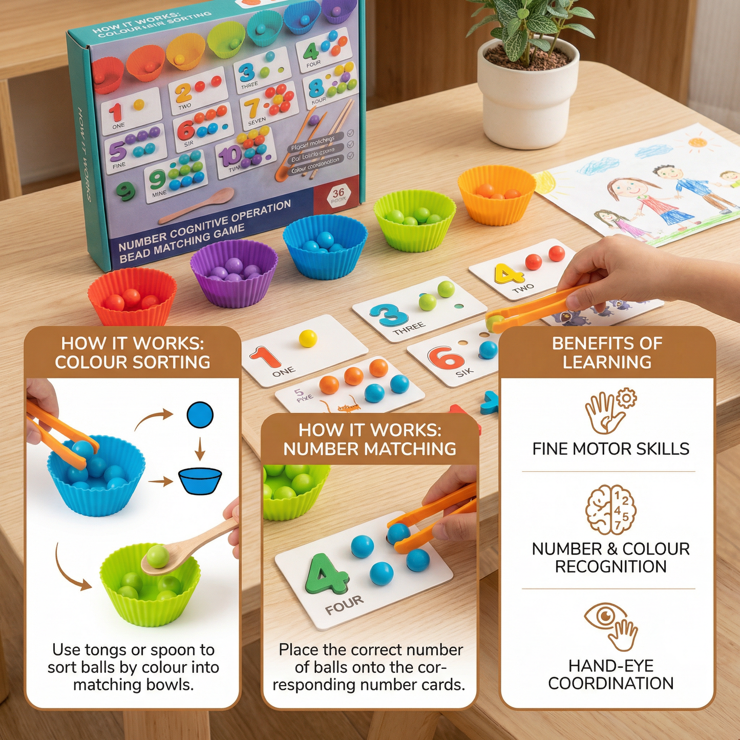 Montessori Ball Number and Colour Sorting Set for Learning to Count